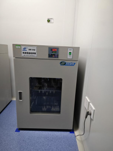 电热恒温培养箱（DNP-9162-1A）